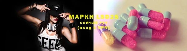 крисы Новокубанск