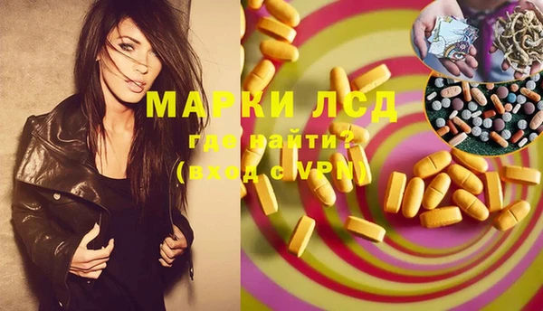 молекула духа Новодвинск