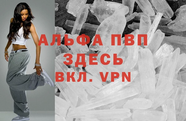 молекула духа Новодвинск