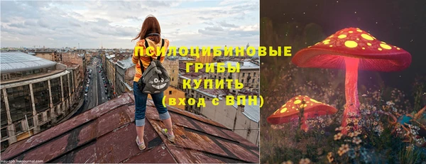 кристаллы Болотное