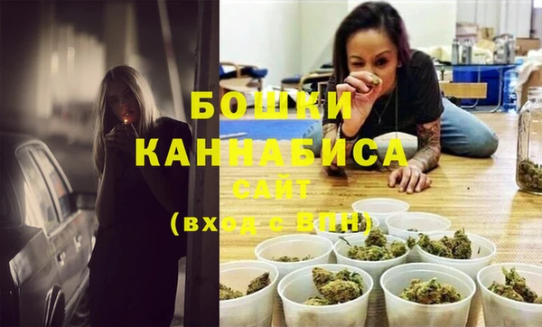 крисы Новокубанск