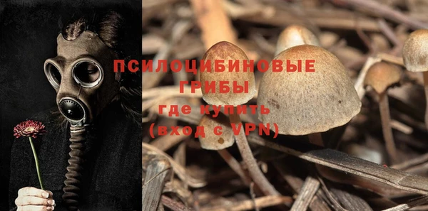 молекула духа Новодвинск
