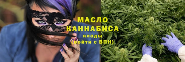 молекула духа Новодвинск