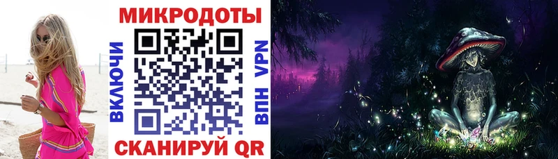 закладки  Нижняя Тура  Галлюциногенные грибы Psilocybe 